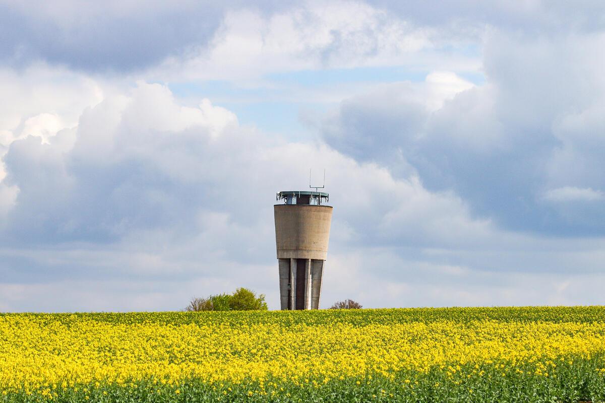 Frühling in sattem Gelb ...  Von Natalie Politz aus Hildrizhausen.