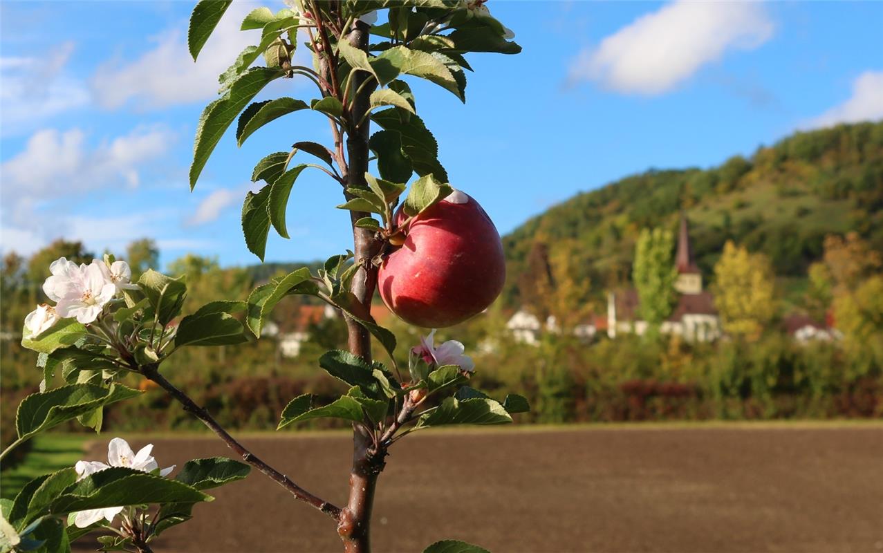 Frühling und Herbst vereint, gesehen von Walter Hübner in Kayh. 