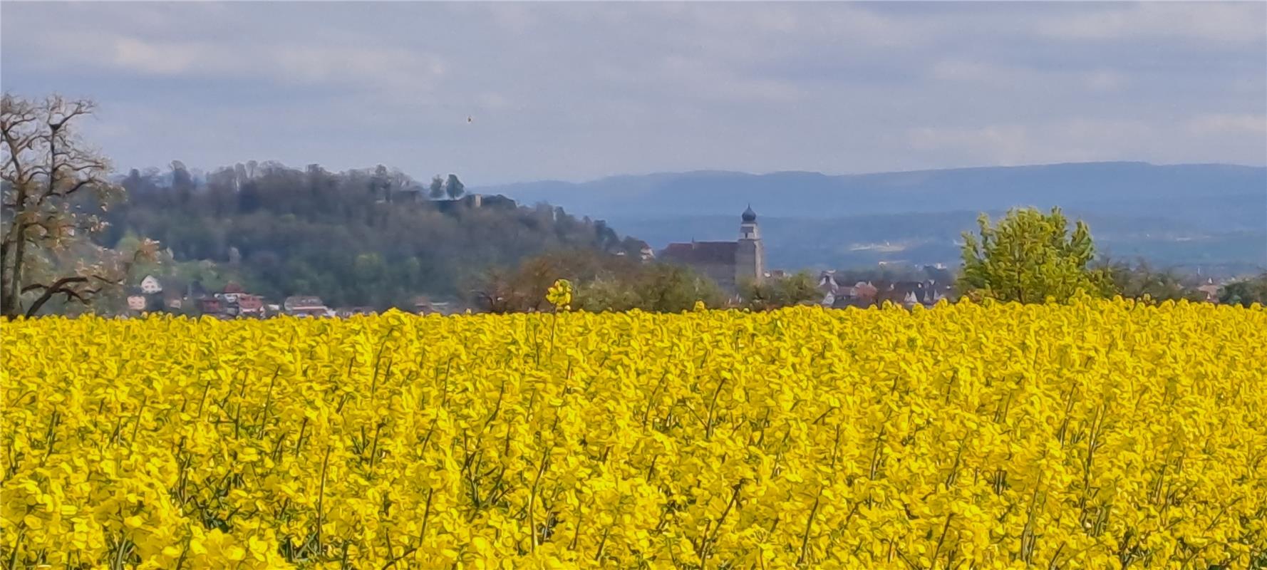 Frühling unter dem Schloßberg. Von Klaus Schmidt aus Nufringen.