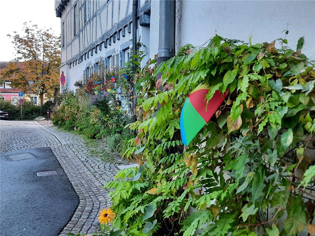 Frühlingsgefühle im Oktober.  Von Heiko Weiß aus Gäufelden.