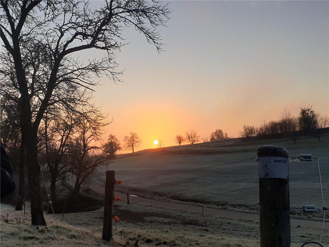 Frühmorgens in Kuppingen beim Spaziergang mit dem Hund.  Von Susanne Wagner aus ...