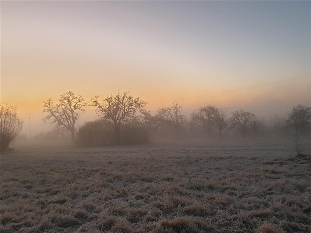 Frühmorgens in Kuppingen beim Spaziergang mit dem Hund.  Von Susanne Wagner aus ...