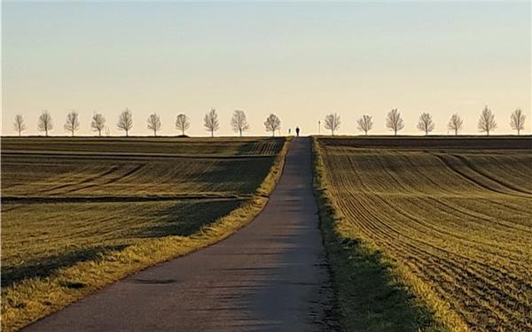 Frühwinterliche Abendstimmung (fotografiert von Brigitte Straßner bei Nebringen)