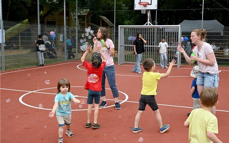 Für das neue Spielfeld wurden rund 80000 Euro investiert. GB-Foto: Holom