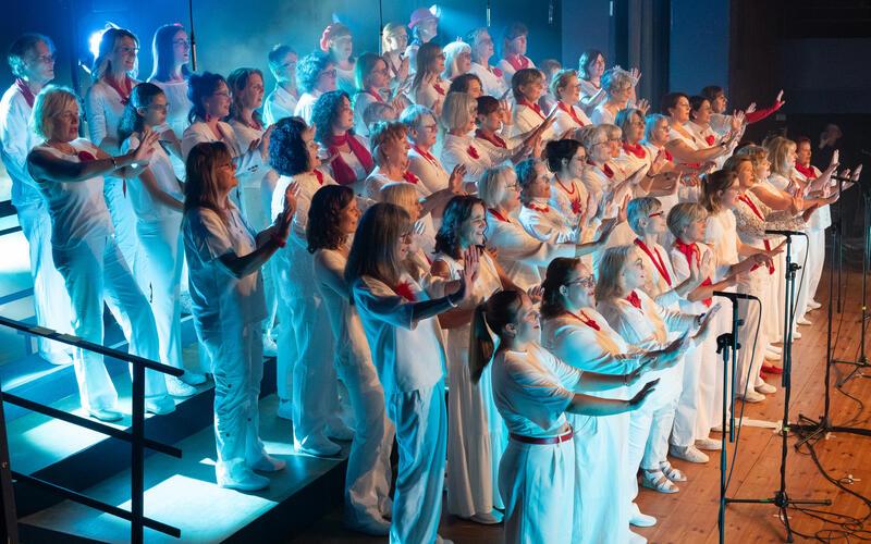Für einen „Ausnahmezustand“ sorgte der Chor „Voices ltd.“ mit seinem zweiten Jahreskonzert in der Stadthalle. GB-Foto: Vecsey