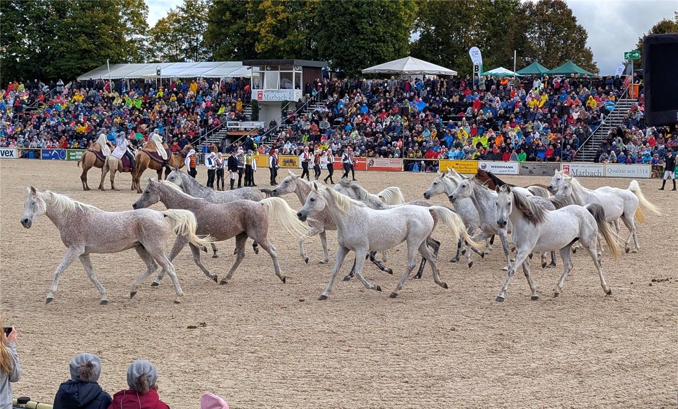 Für insta verwendet. Was für ein Tag! Wir durften als glückliche Gewinner der Gä...