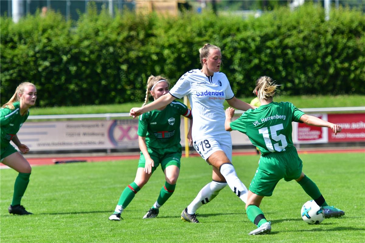 Fußball Festspiel 100 Jahre Fußball Herrenberg / Oberliga-Frauen VfL Herrenberg ...