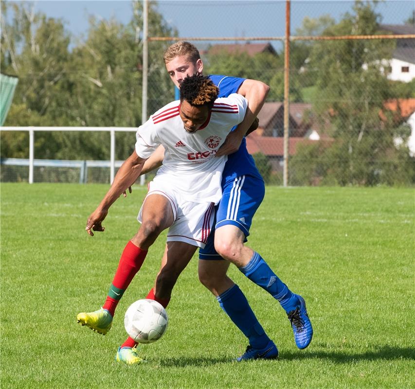 Fußball Rohrau gegen Fortuna Böblingen 8 / 2019 Foto: Schmidt