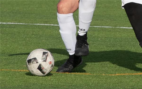 Gäubote Sport Gäubote Sport