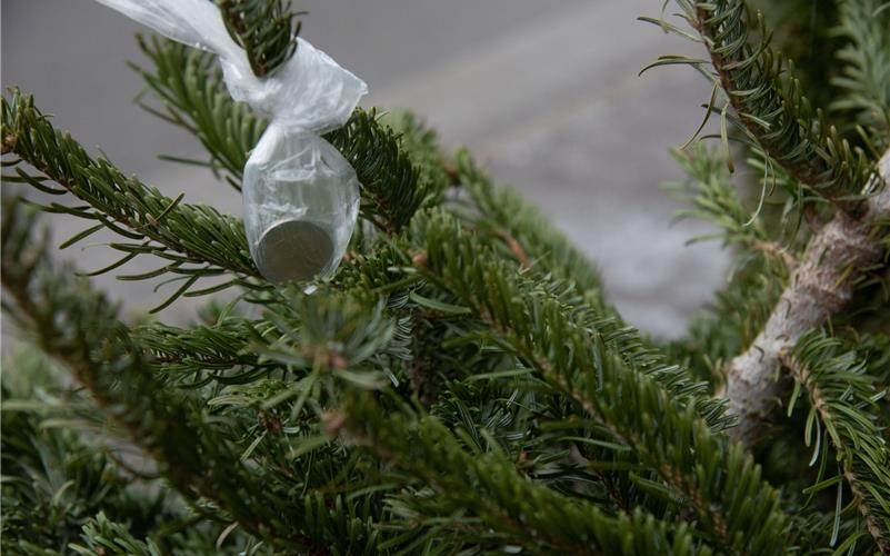 Spendenumschläge bei Christbaumsammelaktion geklaut GB-Foto: Vecsey