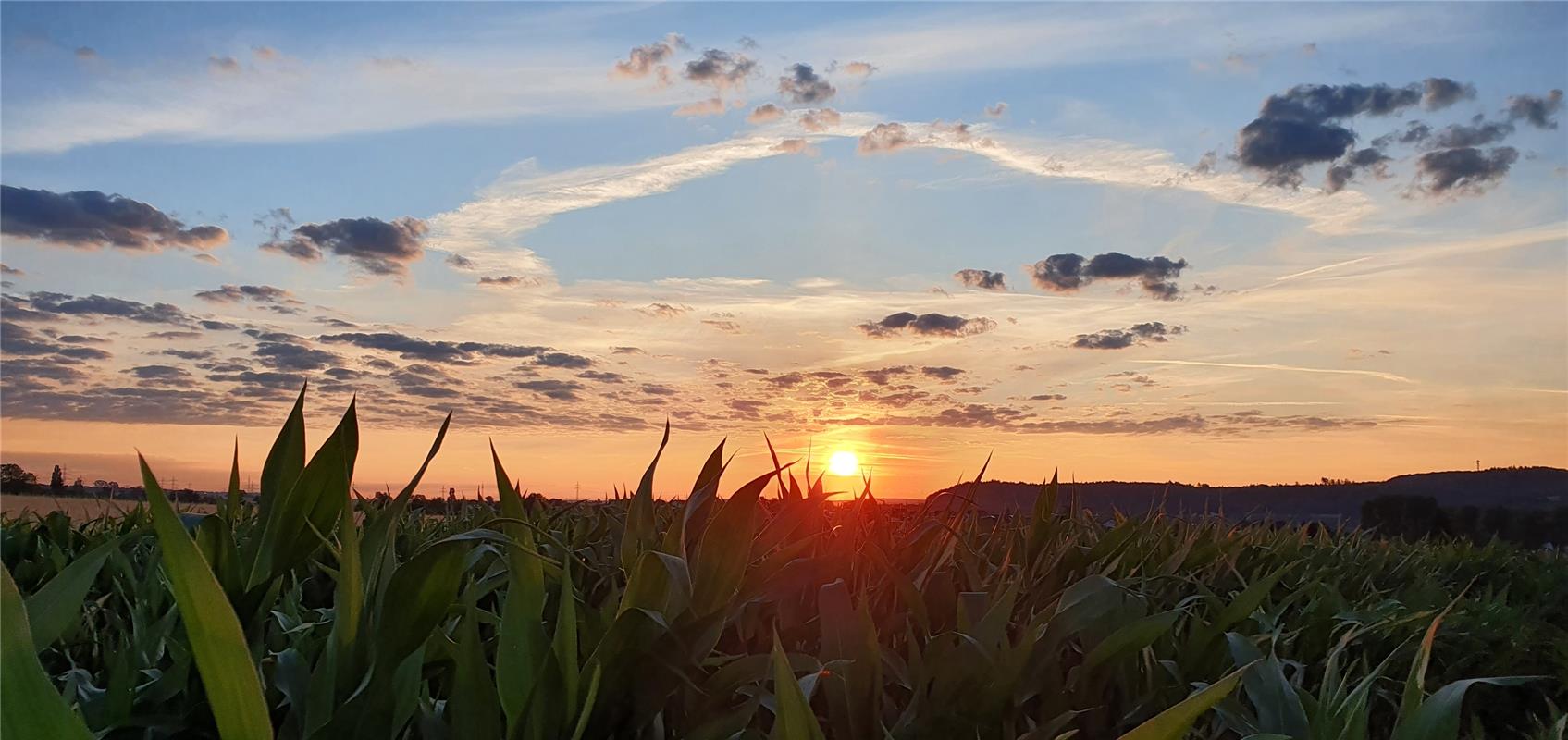 Gabi Brenner  hat den Sonnenaufgang über dem Maisfeld bei Affstätt genossen