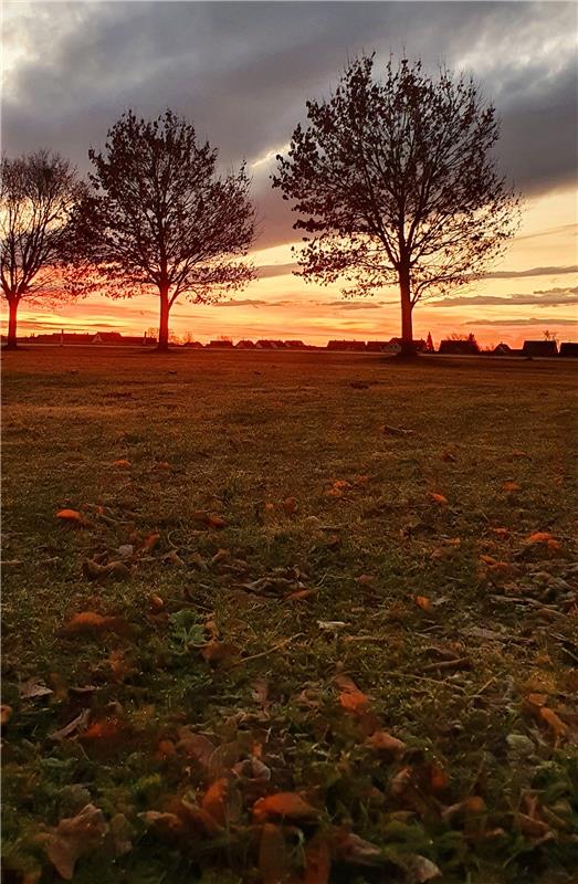 Gabi Brenner sah diesen Sonnenaufgang über Jettingen