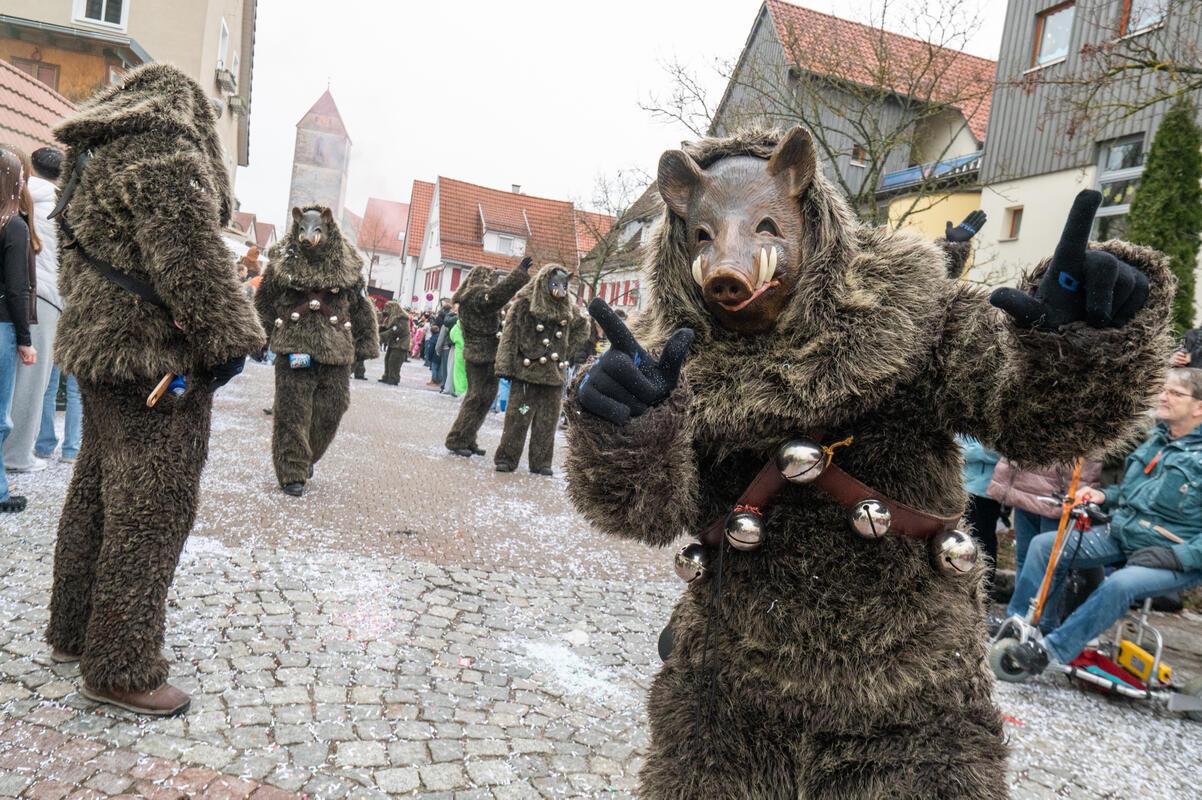 Gärtringen, Ortsmitte, Fasnetsumzug, GB-Foto: Vecsey