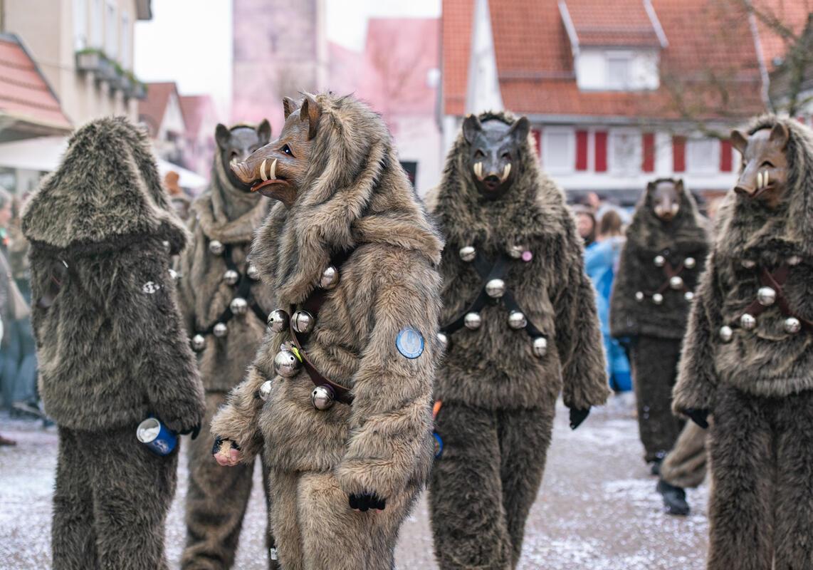 Gärtringen, Ortsmitte, Fasnetsumzug, GB-Foto: Vecsey