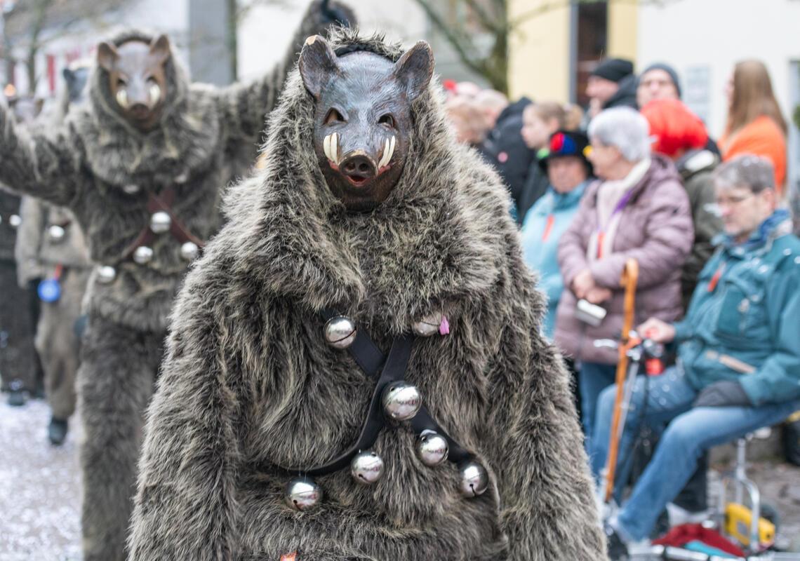 Gärtringen, Ortsmitte, Fasnetsumzug, GB-Foto: Vecsey