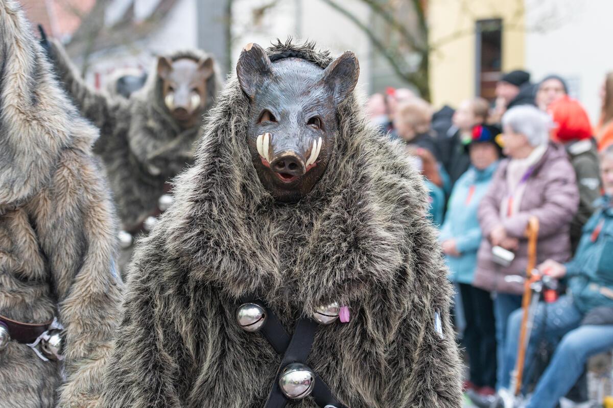 Gärtringen, Ortsmitte, Fasnetsumzug, GB-Foto: Vecsey