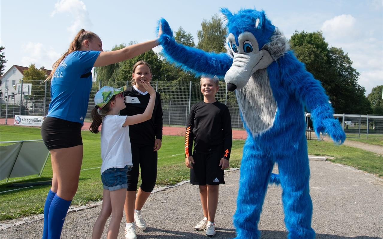 Gärtringen, Theodor-Heuss-Halle, Rasenplatz, Faustball, Gärtringer Ortsmeistersc...