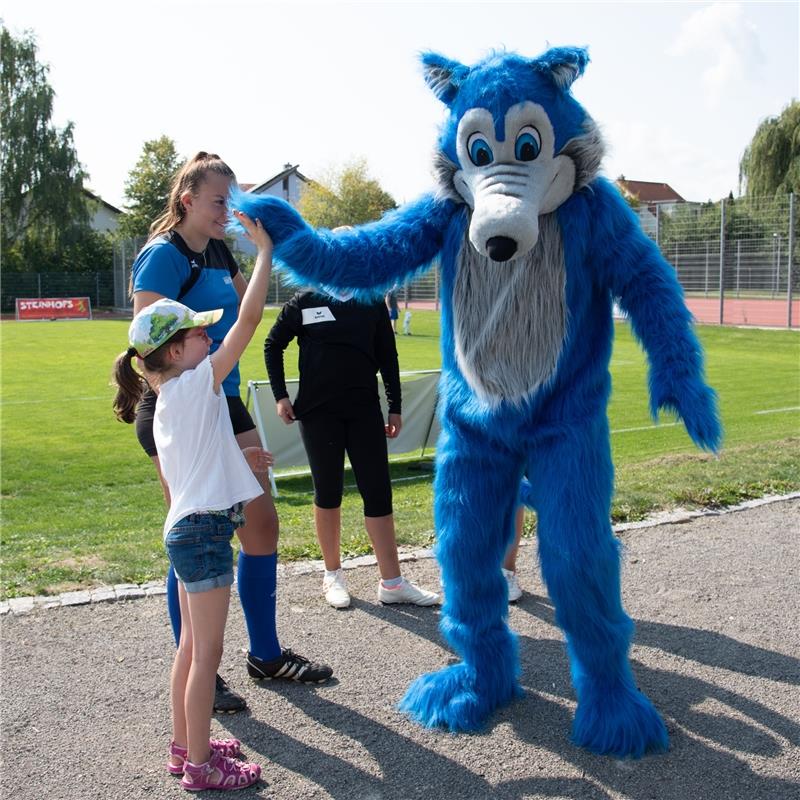 Gärtringen, Theodor-Heuss-Halle, Rasenplatz, Faustball, Gärtringer Ortsmeistersc...