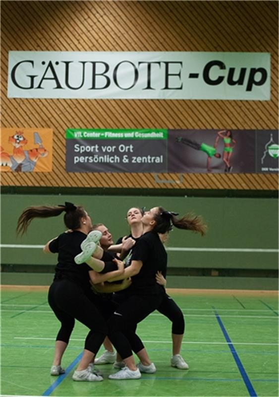 Gäubote Cup Fußball Turnier des VfL Herrenberg 12 / 2018 Foto:  Schmidt