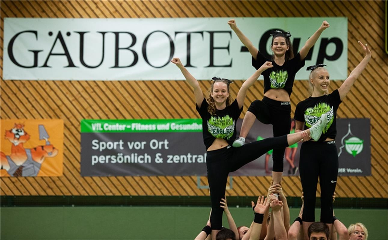 Gäubote Cup Fußball Turnier des VfL Herrenberg 12 / 2018 Foto:  Schmidt