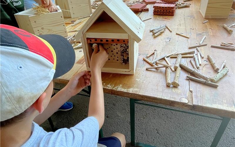 Gäufelden – Auch in diesem Jahr beteiligte sich der OGV Gäufelden wieder am Sommerferienprogramm. Diesmal stand der Bau eines Wildbienenhotels an: Zu Beginn gab Karin Kelber einen kurzen Überblick und erklärte den elf Kindern, wie wichtig Wildbienen für die Natur sind. Anschließend ging es gleich in die Werkstatt, wo gebohrt, geschliffen, getackert und geklebt wurde. Danach durften die Kinder die Häuser mit einem Ziegelstein, mit unterschiedlichen Hölzern sowie mit Stroh und Tannenzapfen befüllen. Zum Schluss kam noch ein Gitter als Schutz vor Spechten davor und das Dach bekam eine wasserdichte Abdeckung. Alle Kinder waren einer Pressemitteilung zufolge mit Begeisterung dabei und arbeiteten sehr konzentriert mit. „Es war ein rundum gelungener Nachmittag“, heißt es. gb/GB-Foto: gb