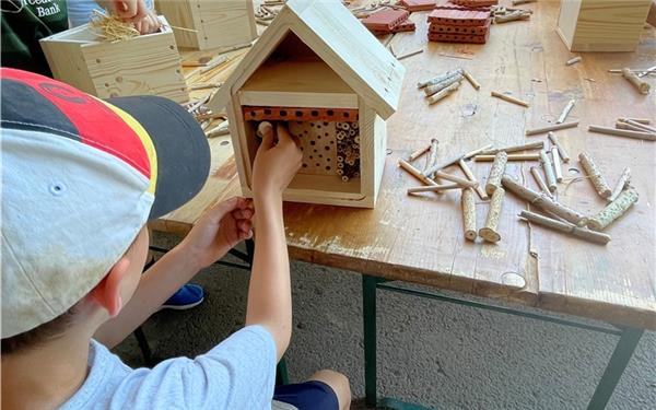 Gäufelden – Auch in diesem Jahr beteiligte sich der OGV Gäufelden wieder am Sommerferienprogramm. Diesmal stand der Bau eines Wildbienenhotels an: Zu Beginn gab Karin Kelber einen kurzen Überblick und erklärte den elf Kindern, wie wichtig Wildbienen für die Natur sind. Anschließend ging es gleich in die Werkstatt, wo gebohrt, geschliffen, getackert und geklebt wurde. Danach durften die Kinder die Häuser mit einem Ziegelstein, mit unterschiedlichen Hölzern sowie mit Stroh und Tannenzapfen befüllen. Zum Schluss kam noch ein Gitter als Schutz vor Spechten davor und das Dach bekam eine wasserdichte Abdeckung. Alle Kinder waren einer Pressemitteilung zufolge mit Begeisterung dabei und arbeiteten sehr konzentriert mit. „Es war ein rundum gelungener Nachmittag“, heißt es. gb/GB-Foto: gb