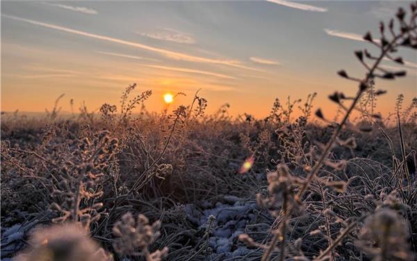 Gäufrost in der Morgensonne (fotografiert von Carolin Nüßle aus Kuppingen)