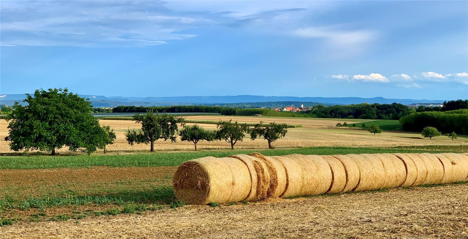 Gäu'sche Spätsommer Idylle, gesehen von Minja Rollinson .