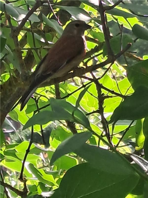 Gartenbesuch...  Von Maria Tabitha Weisse aus Herrenberg.