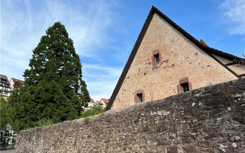 Gebäude und Baudenkmäler wie die Klosteranlage sollen vorerst abends nicht mehr von außen beleuchtet werden, um Energie einzusparen. GB-Foto: Priestersbach