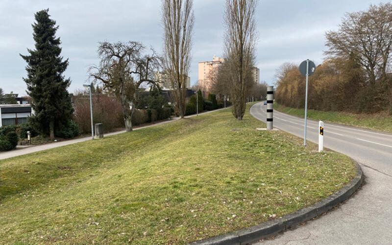 Geplant sind unter anderem Langgrasflächen.GB-Foto: Stadt Herrenberg