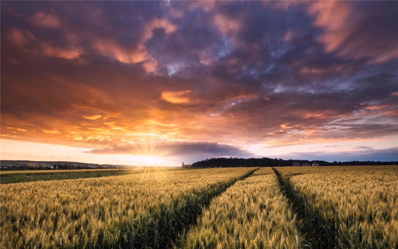 Gerade noch die Sonne in Herrenberg erwischt,  als sie noch durch die Lücke gesp...