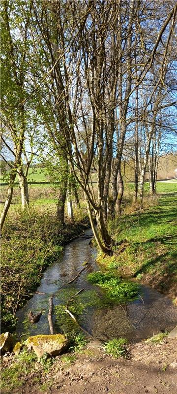 Gewässerzugfluss.  Von Klaus Pfisterer aus Herrenberg.