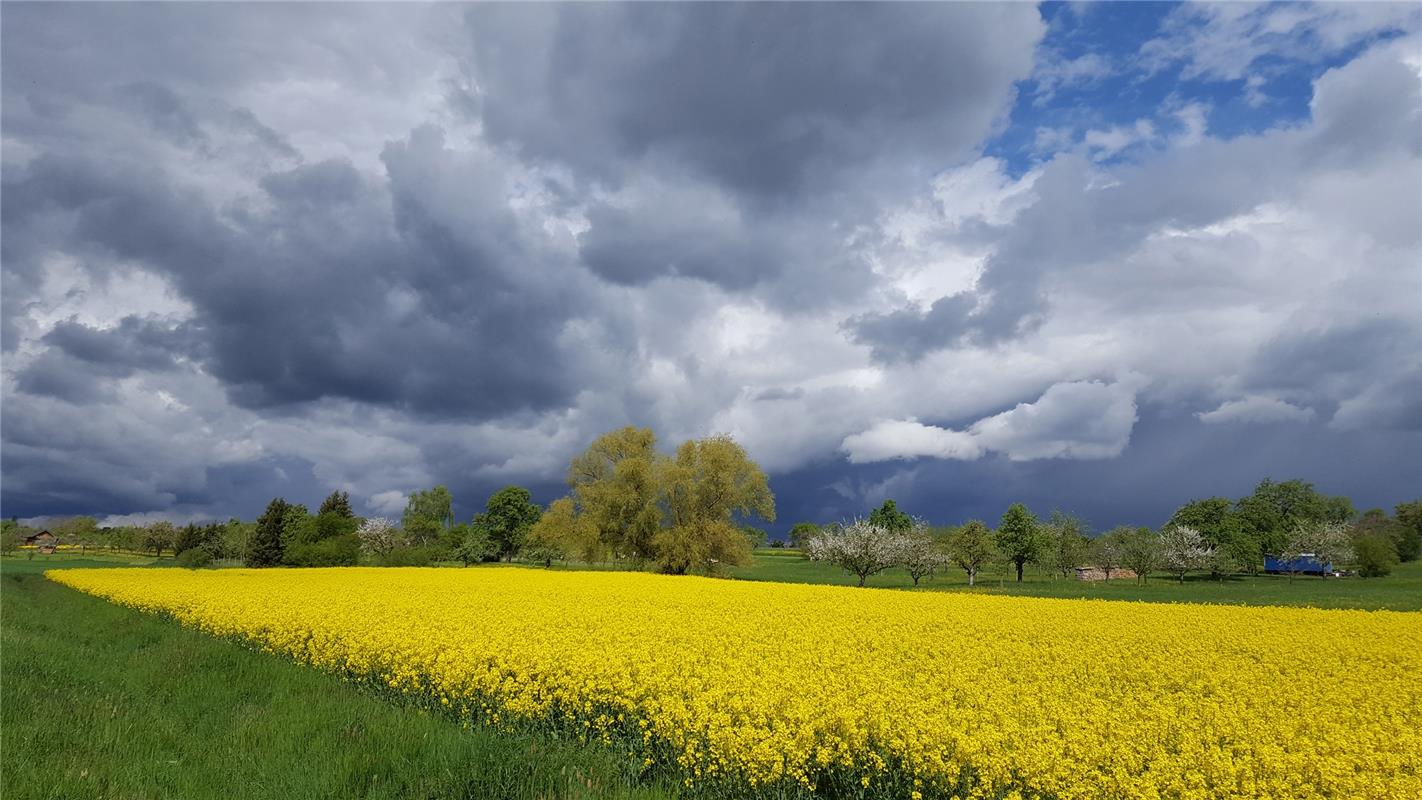 Gewaltige Wetterfront im Anmarsch: Das Naturschauspiel bei Mötzingen hielt die N...