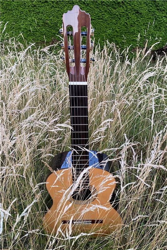 Gitarrengras. Von Rainer Bruckner aus Herrenberg.