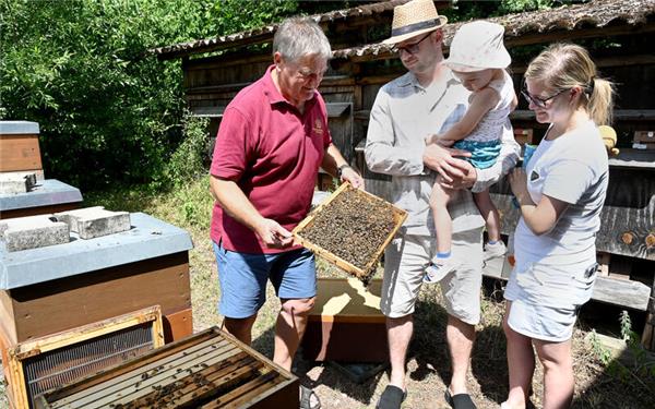 Gläserne Produktion beim Herrenberger Lehrbienenstand: Herbert Czernotzky erläutert die Bienenkästen.GB-Foto: Holom
