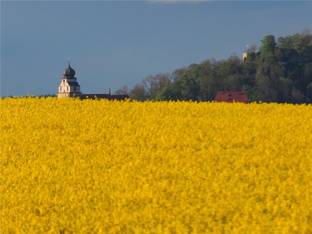Glucke in Gelb, fotografiert von Bernd Schlanderer von Nebringen aus. 