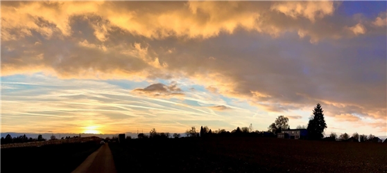 "Goldener Abschied am Horizont" Von Minja Rollinson aus Gäufelden.