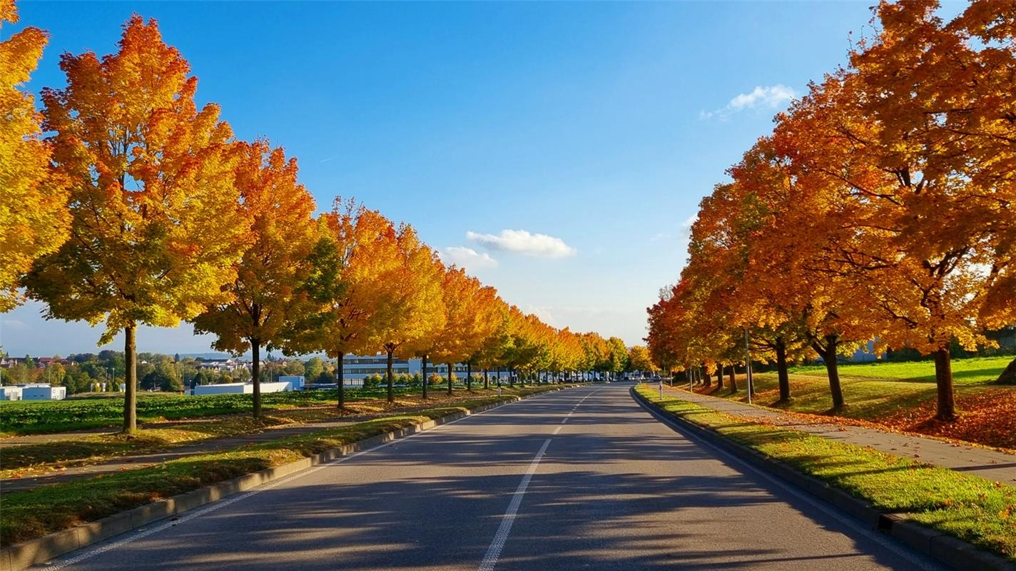 Goldener Herbst in Affstätt, festgehalten von Gabi Brenner.