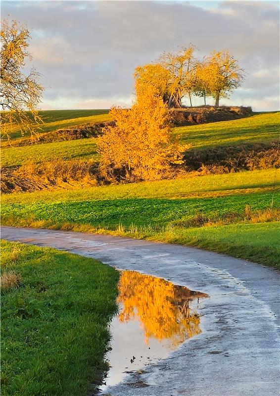 Goldener Herbst in Kuppingen. Von Eva Althoff-Nüßle aus Herrenberg.