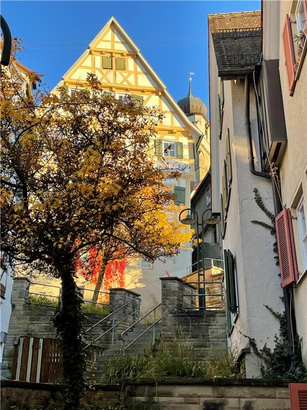 Goldener Oktober in der Froschgasse Herrenberg. Von Heike Schindera aus Herrenbe...