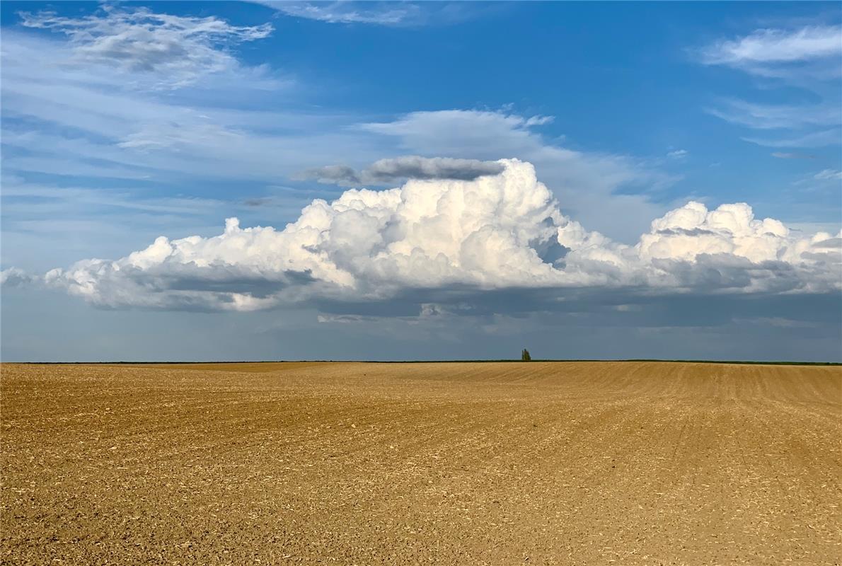 Great Plains of Gäufelden - so nennt Minja Rollinson dieses Foto in Gedanken an ...