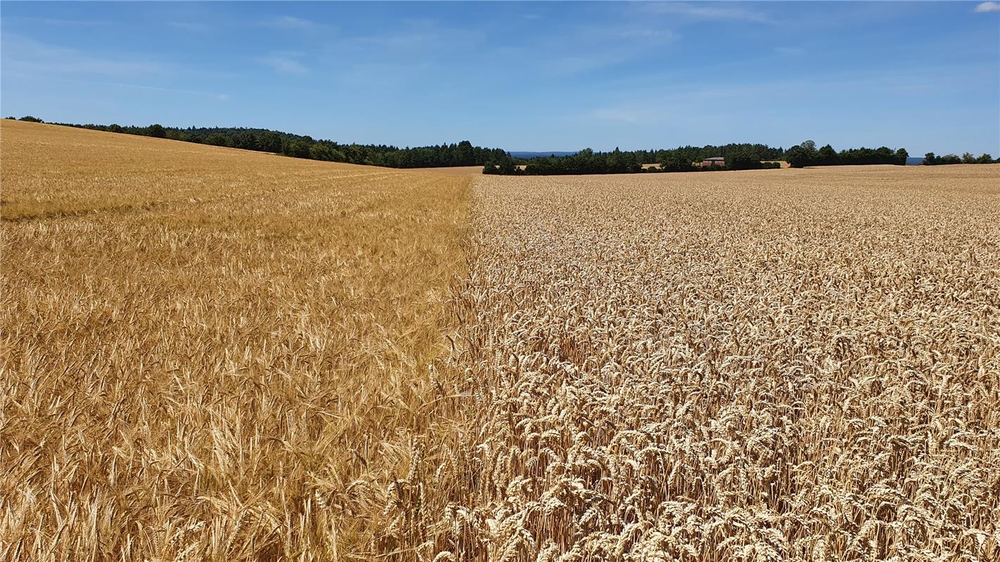 "Grenzland" nennt Arrne Michels aus Deckenpfronn dieses Foto, das er in Deckenpf...