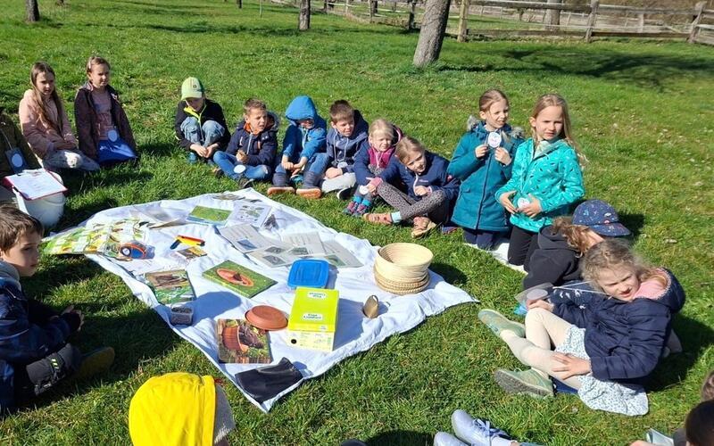 Grünes Klassenzimmer begeistert mit Vogel-Thema