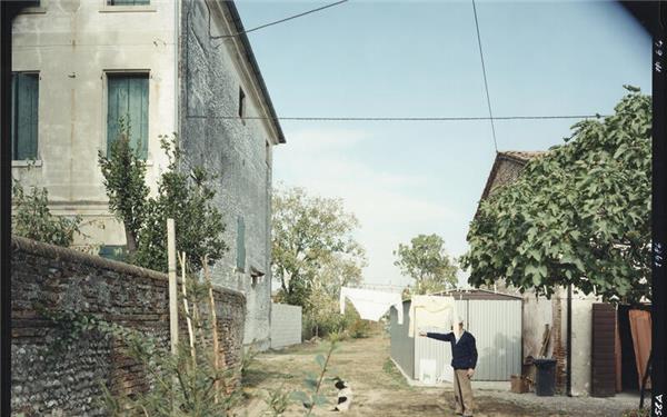 Guido Guidi, Castagnole (1986)