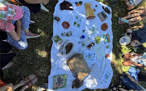 Haslach – Beim Juli-Termin des Projekts „Grünes Klassenzimmer“ des Obst- und Gartenbauvereins Haslach in Kooperation mit der örtlichen Grundschule standen die Themen Kleinsäuger und Jahreszeiten im Mittelpunkt. Die 22 Streuobstforscherinnen und -forscher lernten dabei Wissenswertes über heimische Kleinsäuger und die Veränderungen der Natur im Jahresverlauf. Neben den fachlichen Inhalten konnten die Kinder die Streuobstwiese erneut mit allen Sinnen entdecken und erleben. Natürlich wurde auch nach der Goldparmäne geschaut, die die Kinder im vergangenen Jahr selbst gepflanzt hatten. Die besondere Überraschung: Der junge Baum trägt bereits seinen ersten Apfel. Nun wartet nur noch eine kleine Herausforderung auf die Gruppe: Wie teilt man einen einzigen Apfel gerecht unter 22 Streuobstforschern auf? Der OGV Haslach freut sich über die anhaltende Begeisterung der Kinder. gb/GB-Foto: OGV Haslach