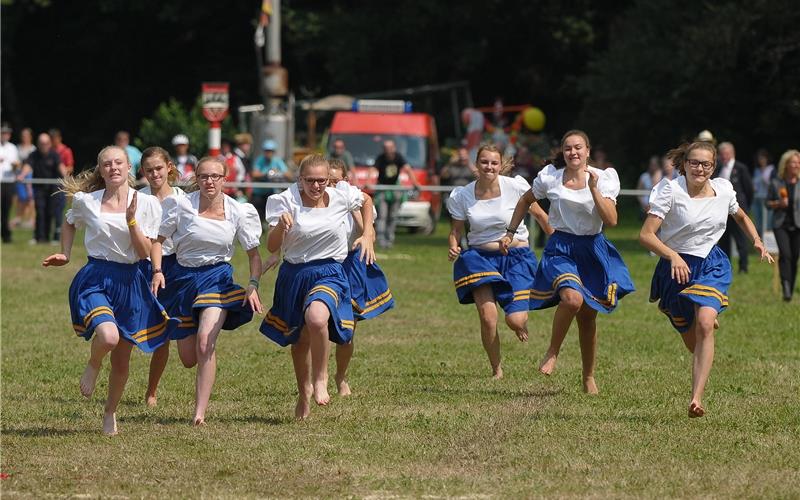 Erstmals kein Schäferlauf seit dem Krieg Hat Tradition in Wildberg: Der Schäferlauf – 2020 fällt er aber ausGB-Foto (Archiv): gb