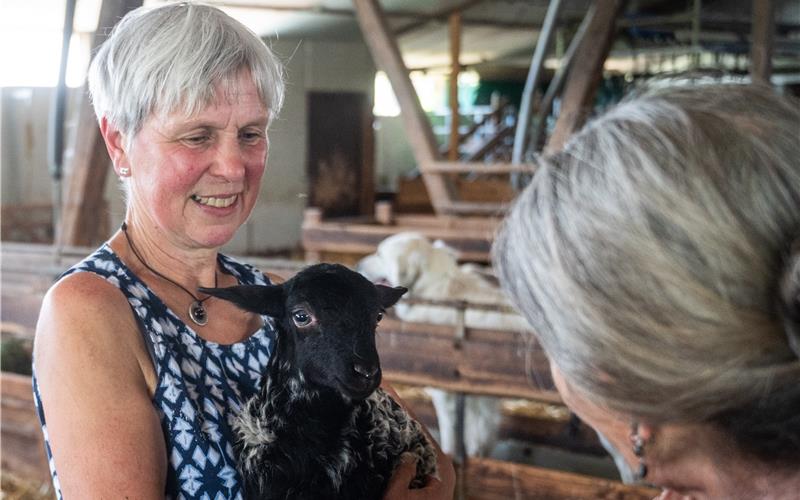 Hautnah ließ sich der Hof erleben – hier Karin Zimmermann mit einem zehn Tage alten Lamm. GB-Foto: Schmidt