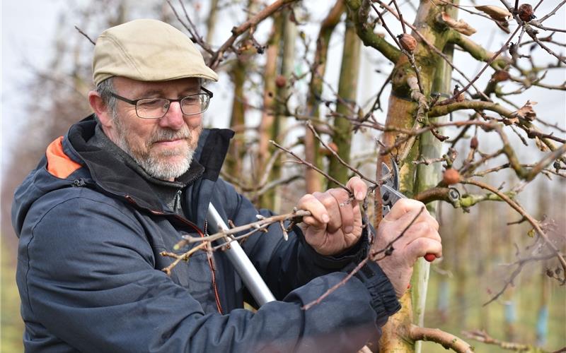 Zweistellige Minusgrade wären ein Problem Helmut Werner begutachtet die Entwicklung seiner Obstbäume GB-Foto: Vecsey