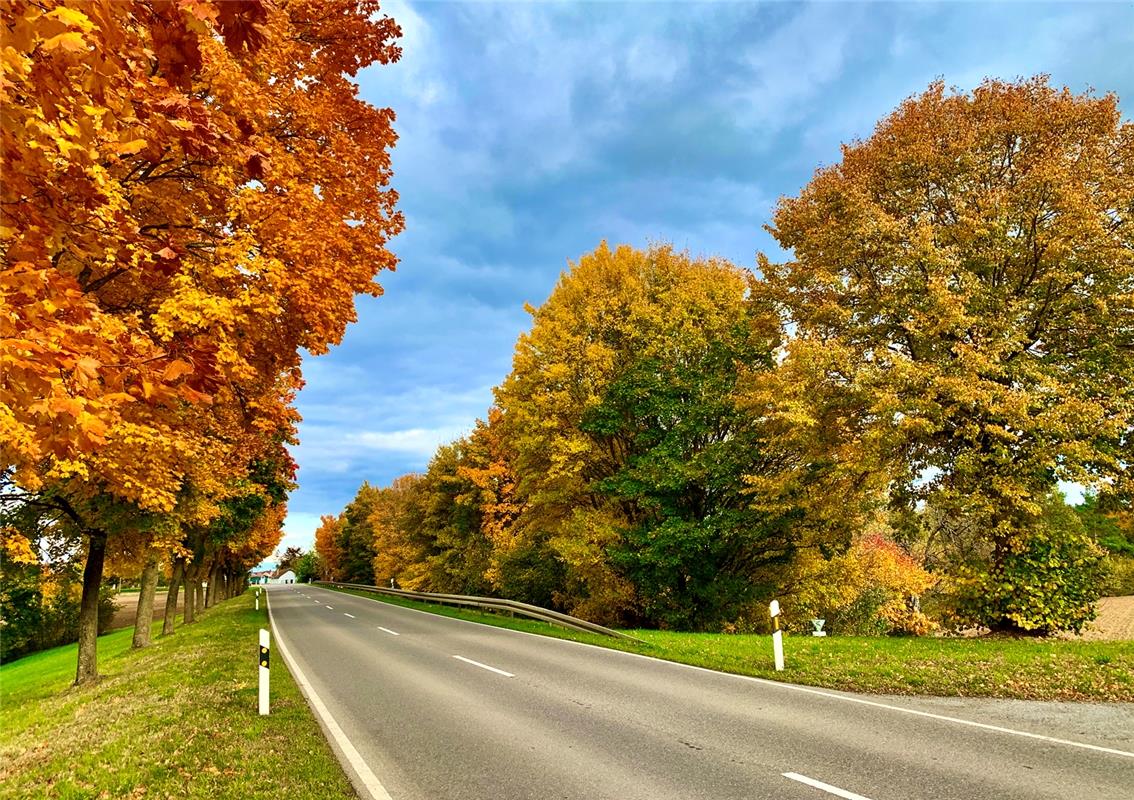 Herbst-Allee zwischen Sindlingen und Haslach, eingefangen von Minja Rollinson au...